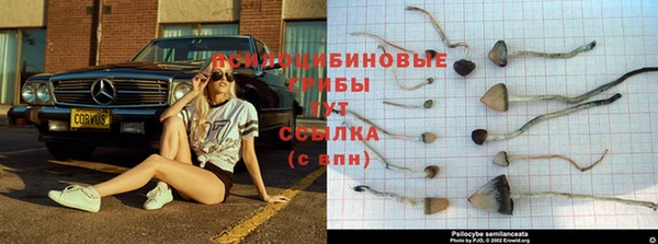 мет Горнозаводск