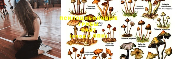 скорость mdpv Вязьма
