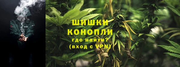 ECSTASY Вяземский
