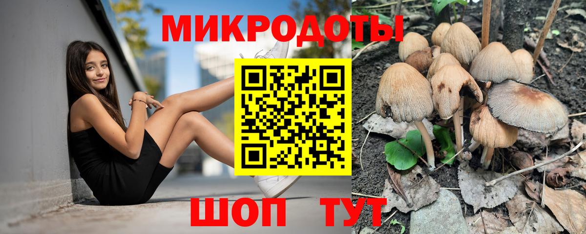 Галлюциногенные грибы Magic Shrooms Можга
