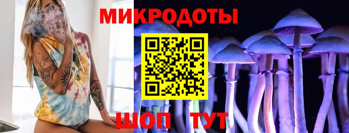 Галлюциногенные грибы Cubensis  Можга 