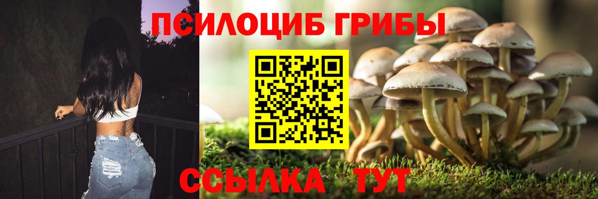 Псилоцибиновые грибы Psilocybe  Вход с VPN  Можга 