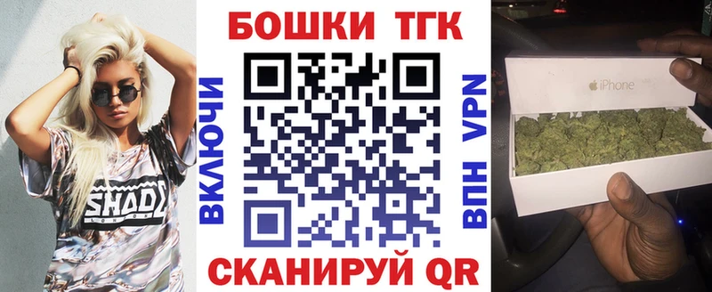 Конопля гибрид Можга